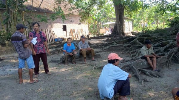 Absen Petani